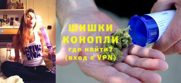 ГАЛЛЮЦИНОГЕННЫЕ ГРИБЫ Богданович