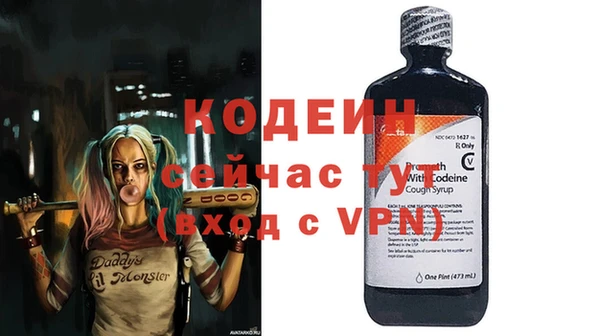 ГАЛЛЮЦИНОГЕННЫЕ ГРИБЫ Богданович