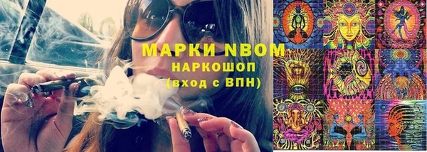 ГАЛЛЮЦИНОГЕННЫЕ ГРИБЫ Богданович