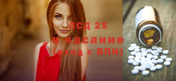 spice Богородск
