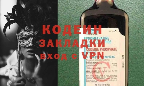 ГАЛЛЮЦИНОГЕННЫЕ ГРИБЫ Богданович