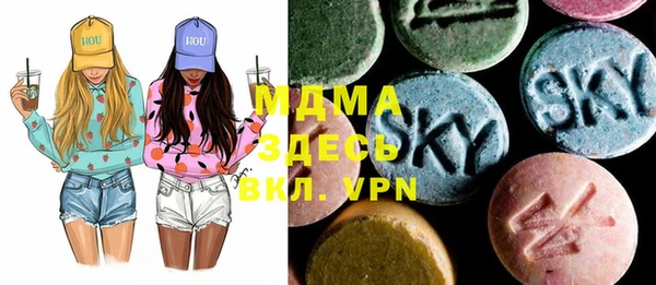 spice Богородск