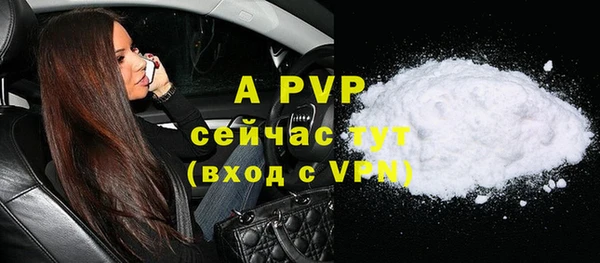 ГАЛЛЮЦИНОГЕННЫЕ ГРИБЫ Богданович