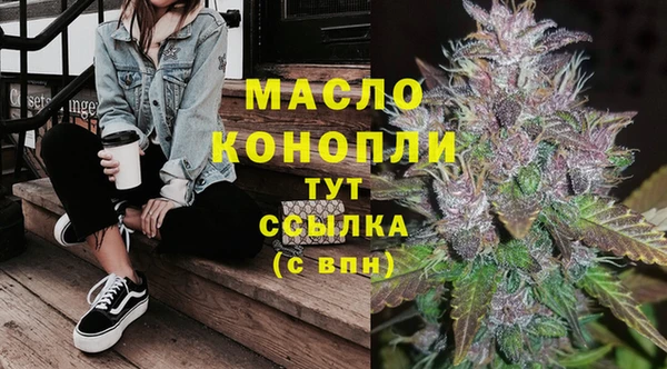 ГАЛЛЮЦИНОГЕННЫЕ ГРИБЫ Богданович