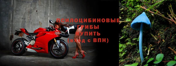 прущие крисы Белоозёрский