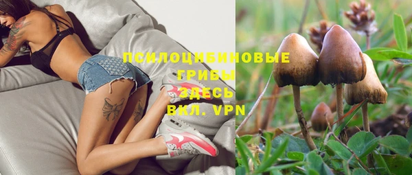 spice Богородск