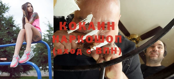 ГАЛЛЮЦИНОГЕННЫЕ ГРИБЫ Богданович