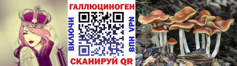kraken вход  Ижевск  Галлюциногенные грибы ЛСД 